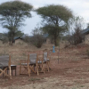 Отель Nyikani Camp - Tarangire, фото 9