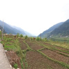 Отель OYO 13697 Home Grand Hill View Naggar Road, фото 2