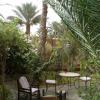 Отель Dar Nekhla - La Maison Des Palmiers, фото 18