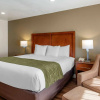 Отель Comfort Inn, фото 2