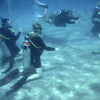 Отель Oonas Dive Club, фото 17