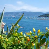 Отель Bed And Breakfast 1 Bedroom 1 Bathroom - Portovenere, фото 15
