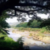 Отель nice place kandy, фото 16