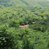 Отель Reserva Ecológica Copalitilla, фото 10
