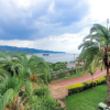 Отель Palm Garden Resort, фото 29