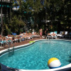 Отель Pineapple Point Guest House, фото 7