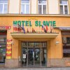 Отель Slavie, фото 1
