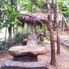 Отель 1 BHK Cottage in Wayanad wildlife sanctuary, by GuestHouser (DD54), фото 12