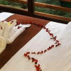 Отель savarona pansiyon otel, фото 5