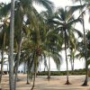 Отель Tayrona Tented Lodge, фото 16