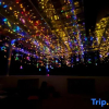 Отель Aqing Homestay, фото 7