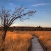 Отель Domaine des Hautes Fagnes, фото 1