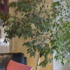Отель Spectacular 2BR Executive Suite Parking, фото 1