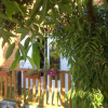 Отель Bungalow with One Bedroom in Le Tampon, with Furnished Garden And Wifi - 10 Km From the Beach, фото 1