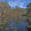 Отель Bundaleer Retreat, фото 23