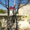 Отель Salento Vacation - Villa La Cisterna, фото 15