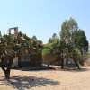 Отель Bodegas Vaivén, фото 4