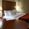 Отель Comfort Inn & Suites Near Six Flags & Medical Center, фото 5