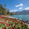Отель Rebecca Garden in Lugano, фото 26