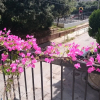 Отель Classical apartment near Acropolis with roof garden, фото 18