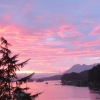 Отель Tofino Swell Lodge, фото 20