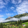 Отель Alpin Haus, фото 11