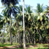 Отель Cloud 9 Stays - Mettupalayam, фото 3