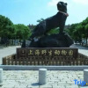 Отель Home Inn (Shanghai Fengcheng Wahong Road), фото 10