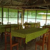 Отель Amazon Eco Tours & Lodge, фото 19