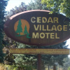 Отель Cedar Village Motel, фото 39