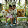 Отель Lake Villa Homestay, фото 50