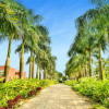 Отель Anchaviyo Resort, фото 20