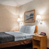 Отель Econo Lodge  Inn & Suites Lake Of The Ozarks, фото 25