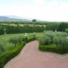 Отель Villa Santa Maria, фото 23