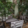 Отель Chada Thai House, фото 16