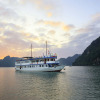 Отель La Paci Cruises, фото 17