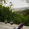 Отель Eshkol Housing Carmel Center -Luxury Forest retreat, фото 4