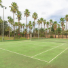 Отель ES MOLI DELS REIS - Fantastic house with private pool in Palma. Free Wi-Fi, фото 7