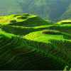 Отель Lavande Hotels·Guilin Longsheng, фото 7