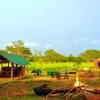 Отель Elephant Watch Hut, фото 17