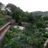 Отель House with 3 Bedrooms in Gondiães, with Wonderful Mountain View, Enclosed Garden And Wifi, фото 1