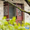 Отель SanYouTang Inn, фото 14