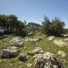 Отель Ajloun Hotel, фото 14