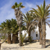 Отель Finca La Veleta, фото 19