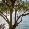 Отель Villa Benele , Corfu, фото 18