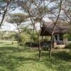 Отель Ikoma tented Camp, фото 15