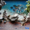 Отель Yin Yun Moutian Villa, фото 5