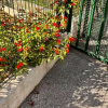 Отель Le Val D'Azur, фото 12