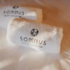 Отель Somnus Suites, фото 9