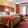 Отель Comfort Inn Lancaster - Rockvale Outlets, фото 20